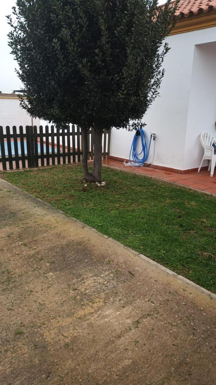 Bellavista De Conil Villa Conil De La Frontera Exteriör bild
